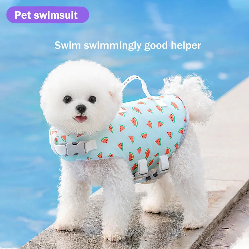 Keep you dog safe in the water