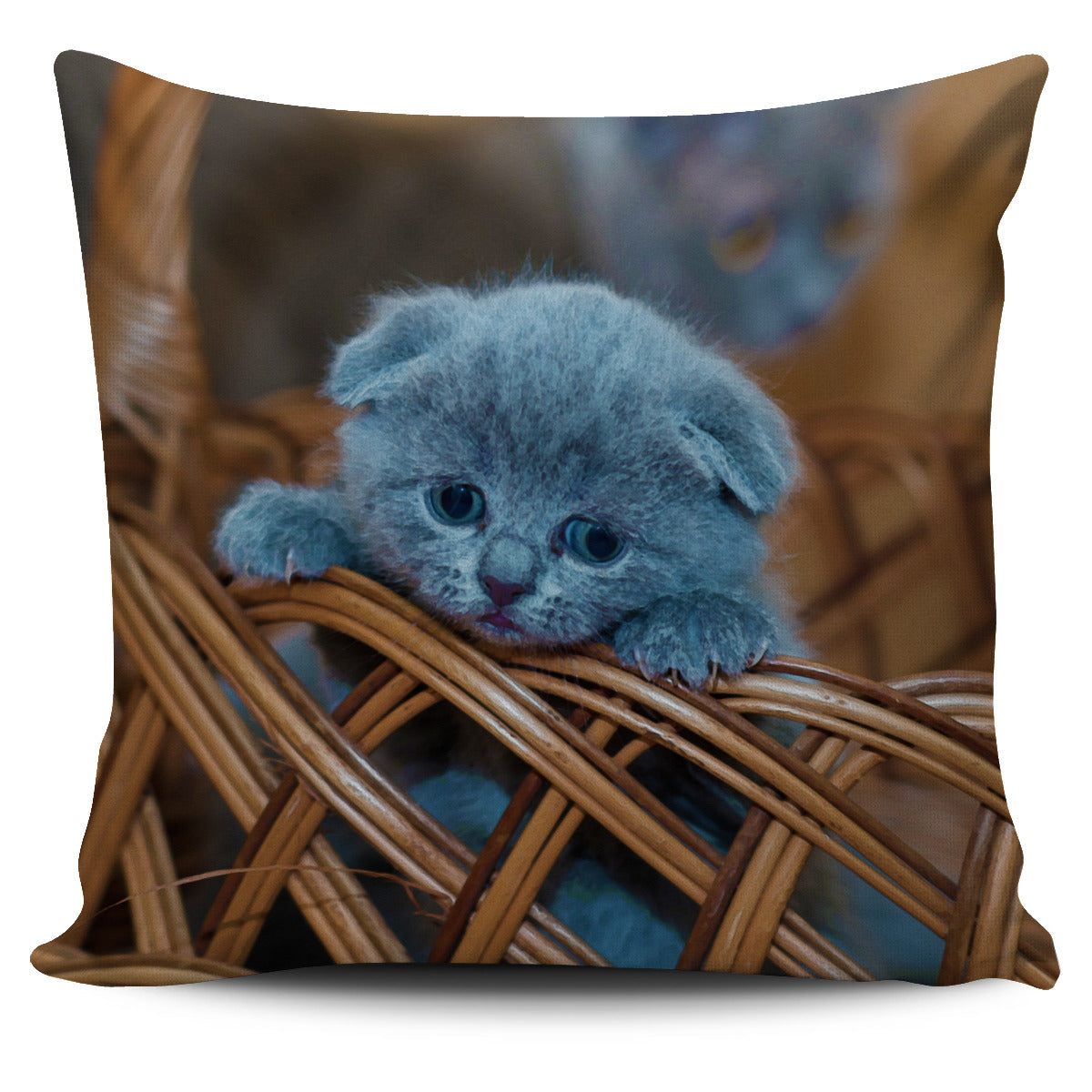 Blue Russian Kitten Pillow Cover