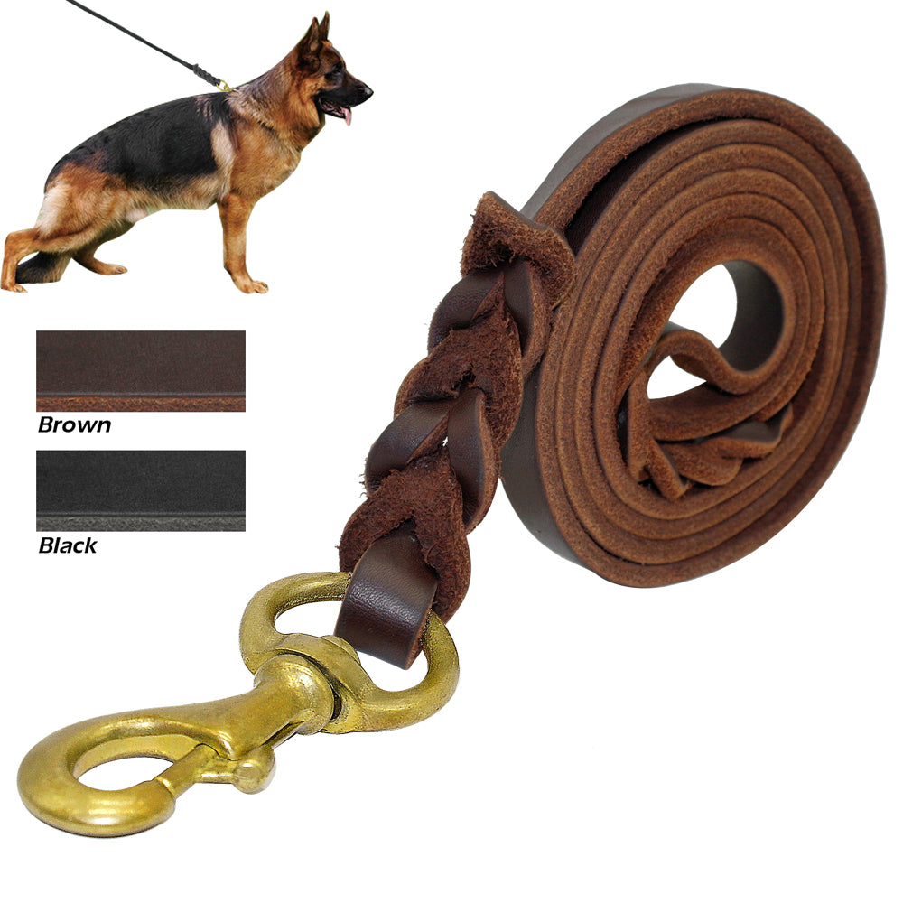 Braided Leather Dog Leash