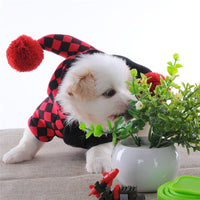 Load image into Gallery viewer, Dog&#39;s Jester Costume
