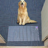 Load image into Gallery viewer, Waterproof Dog Training Mat
