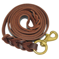 Load image into Gallery viewer, Braided Leather Dog Leash
