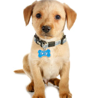 Load image into Gallery viewer, Dog&#39;s Personalized Tag
