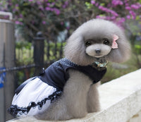 Load image into Gallery viewer, Dog&#39;s Gothic Lace Dress
