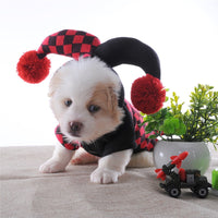 Load image into Gallery viewer, Dog&#39;s Jester Costume

