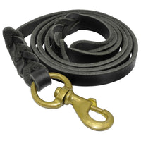 Load image into Gallery viewer, Braided Leather Dog Leash
