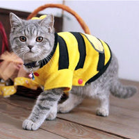 Load image into Gallery viewer, Bee Costume for Dogs or Cats
