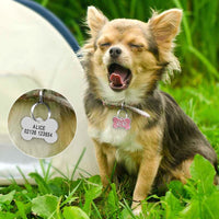 Load image into Gallery viewer, Dog&#39;s Personalized Tag
