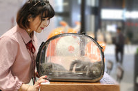 Load image into Gallery viewer, Transparent Pet Carrier
