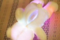 Load image into Gallery viewer, Glowing Teddy Bear
