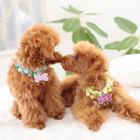 Load image into Gallery viewer, Dog&#39;s Personalized Tag
