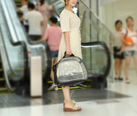 Load image into Gallery viewer, Transparent Pet Carrier
