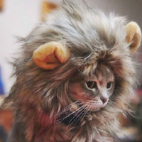 Load image into Gallery viewer, Lion&#39;s Mane Cat Wig
