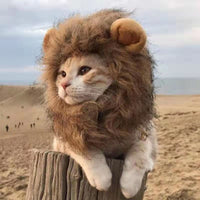 Load image into Gallery viewer, Lion&#39;s Mane Cat Wig
