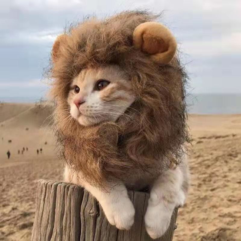 Lion's Mane Cat Wig