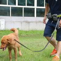 Load image into Gallery viewer, Dog Reflective Running Belt with Leash
