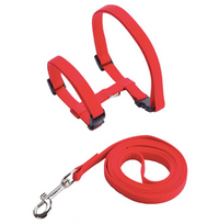 Load image into Gallery viewer, Cat Harness &amp; Leash Set
