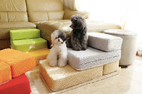 Load image into Gallery viewer, Foldable Pet Stairs
