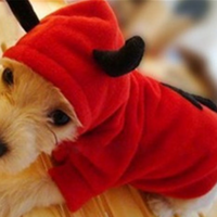 Load image into Gallery viewer, Devil Dog&#39;s Costume

