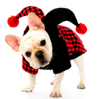 Load image into Gallery viewer, Dog&#39;s Jester Costume
