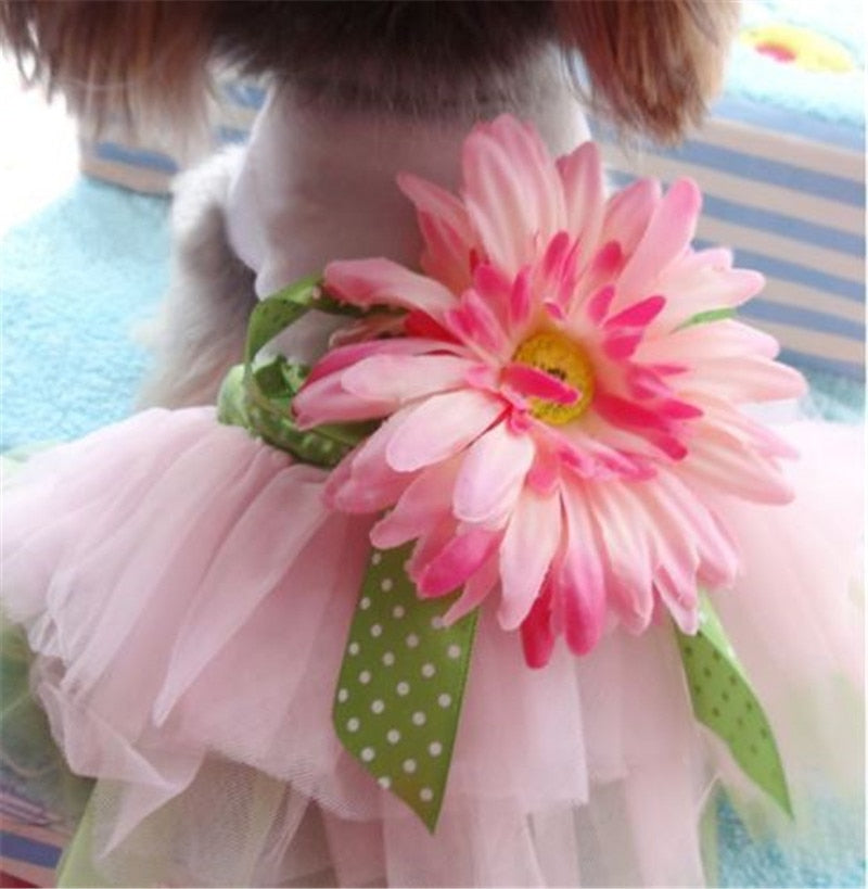 Dog's Tutu Dress With Flower