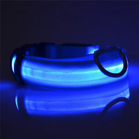 Load image into Gallery viewer, USB Rechargeable LED Dog Collar
