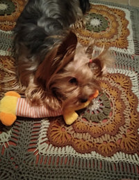 Load image into Gallery viewer, Dog Plush Squeak Toy
