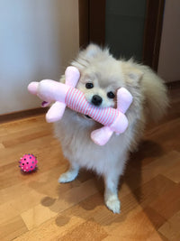 Load image into Gallery viewer, Dog Plush Squeak Toy
