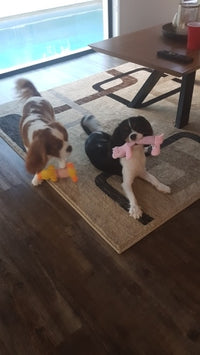 Load image into Gallery viewer, Dog Plush Squeak Toy
