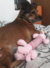 Load image into Gallery viewer, Dog Plush Squeak Toy
