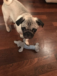 Load image into Gallery viewer, Dog Plush Squeak Toy
