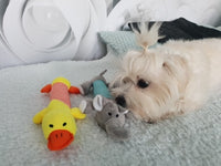 Load image into Gallery viewer, Dog Plush Squeak Toy
