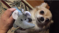 Load image into Gallery viewer, Dog Plush Squeak Toy
