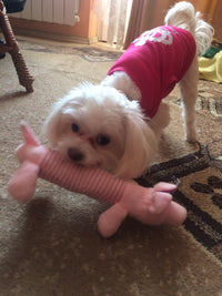 Load image into Gallery viewer, Dog Plush Squeak Toy
