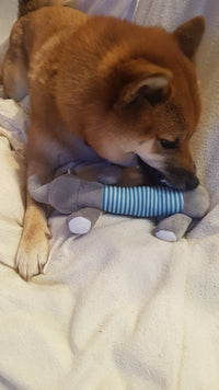 Load image into Gallery viewer, Dog Plush Squeak Toy
