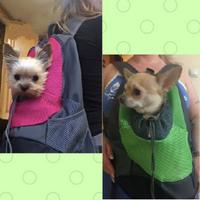 Load image into Gallery viewer, Dog Backpack
