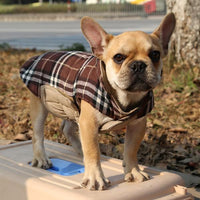 Load image into Gallery viewer, Dog&#39;s Reversible Winter Coat
