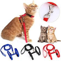 Load image into Gallery viewer, Cat Harness &amp; Leash Set
