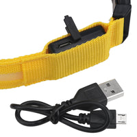 Load image into Gallery viewer, USB Rechargeable LED Dog Collar
