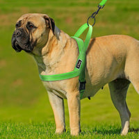 Load image into Gallery viewer, Dog Harness With Reflective Stitching
