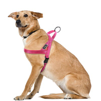 Load image into Gallery viewer, Dog Harness With Reflective Stitching
