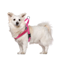 Load image into Gallery viewer, Dog Harness With Reflective Stitching
