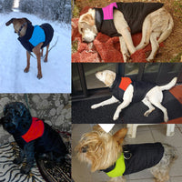 Load image into Gallery viewer, Warm Waterproof Dog Vest
