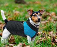 Load image into Gallery viewer, Warm Waterproof Dog Vest
