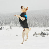 Load image into Gallery viewer, Warm Waterproof Dog Vest

