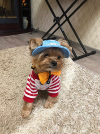 Load image into Gallery viewer, Dog Hat
