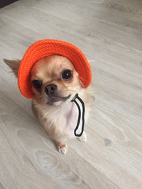 Load image into Gallery viewer, Dog Hat
