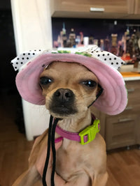 Load image into Gallery viewer, Dog Hat
