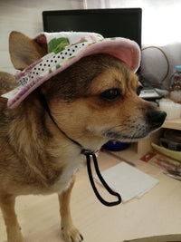 Load image into Gallery viewer, Dog Hat

