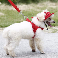 Load image into Gallery viewer, Dog Hat
